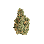 avaay 31/1 SCG Super Citra G